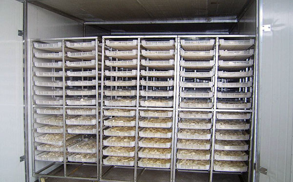 核桃烘干機(jī) 核桃烘干機(jī)